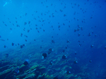 2009.07.9-13 186.jpg
